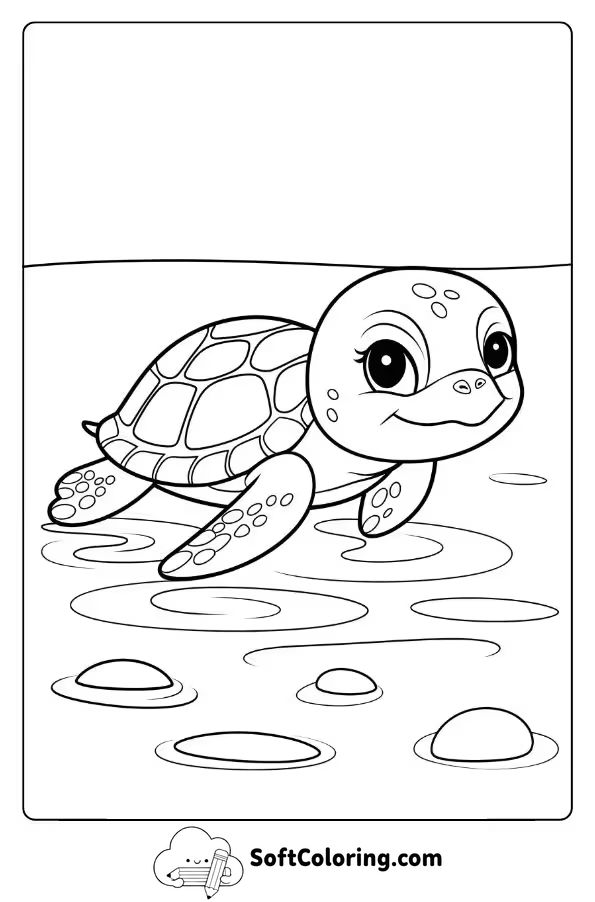 Baby Sea Turtle in Shallow Waters