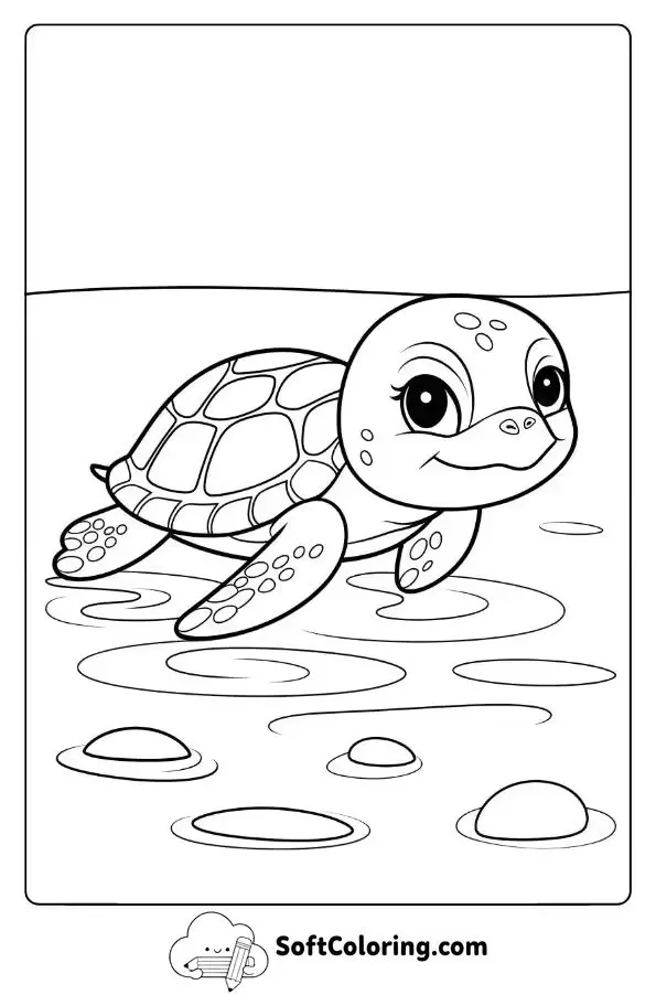 Baby Sea Turtle In Shallow Waters