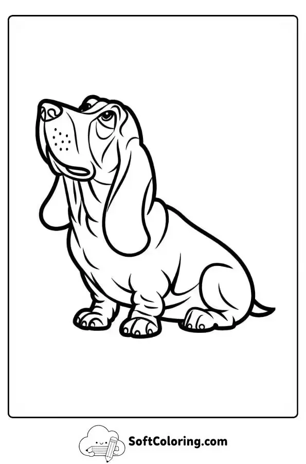 Basset Hound Looking Up