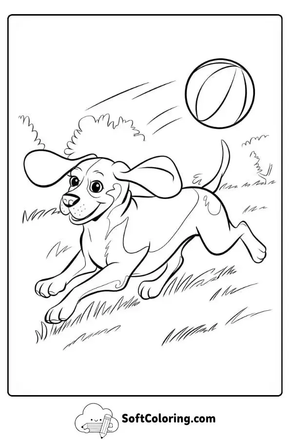 Beagle Chasing A Ball