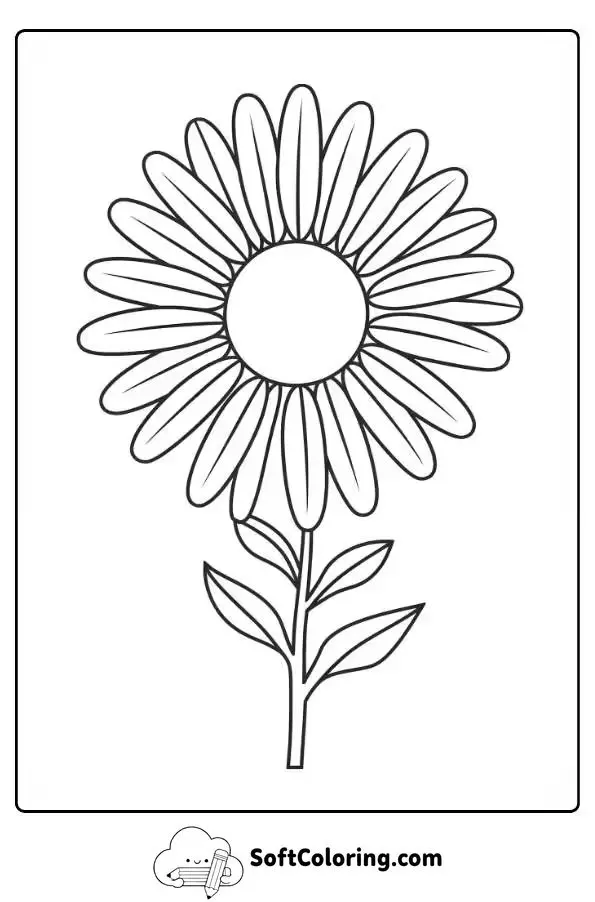 Big Daisy With Thick Petals Coloring Page