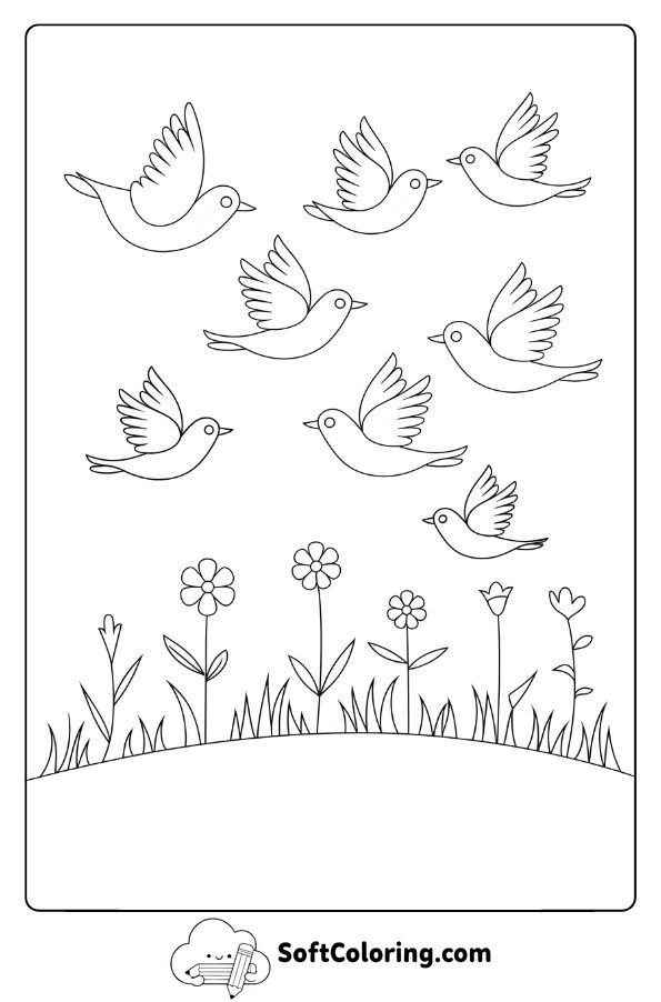 Birds Flying Over a Meadow