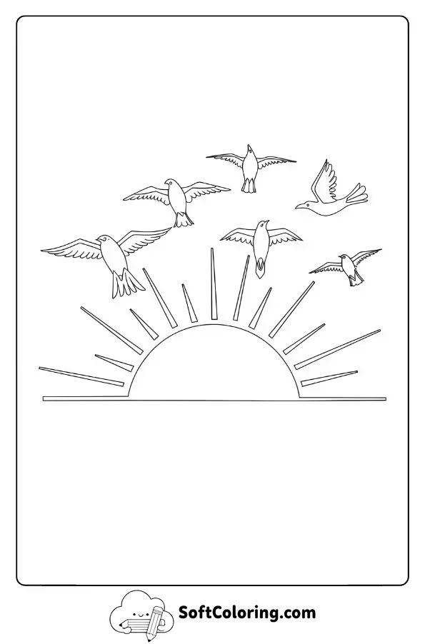 Birds Soaring Over a Sunset