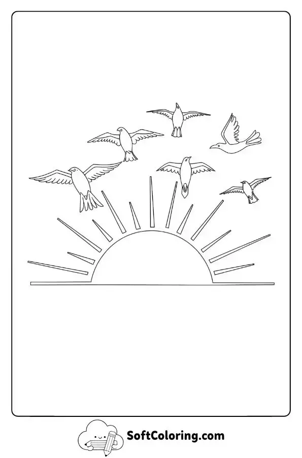 Birds Soaring Over A Sunset