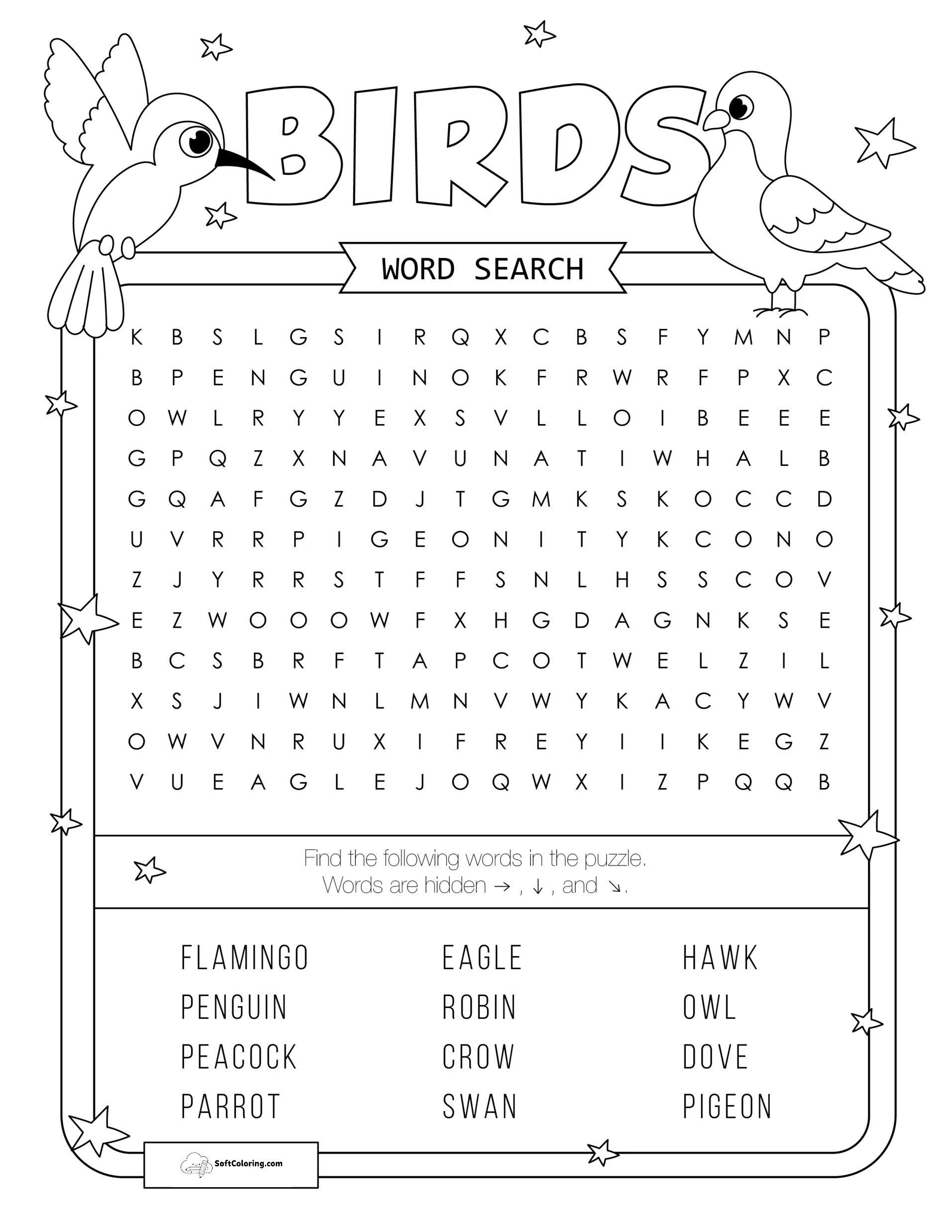 Birds Word Search Puzzle