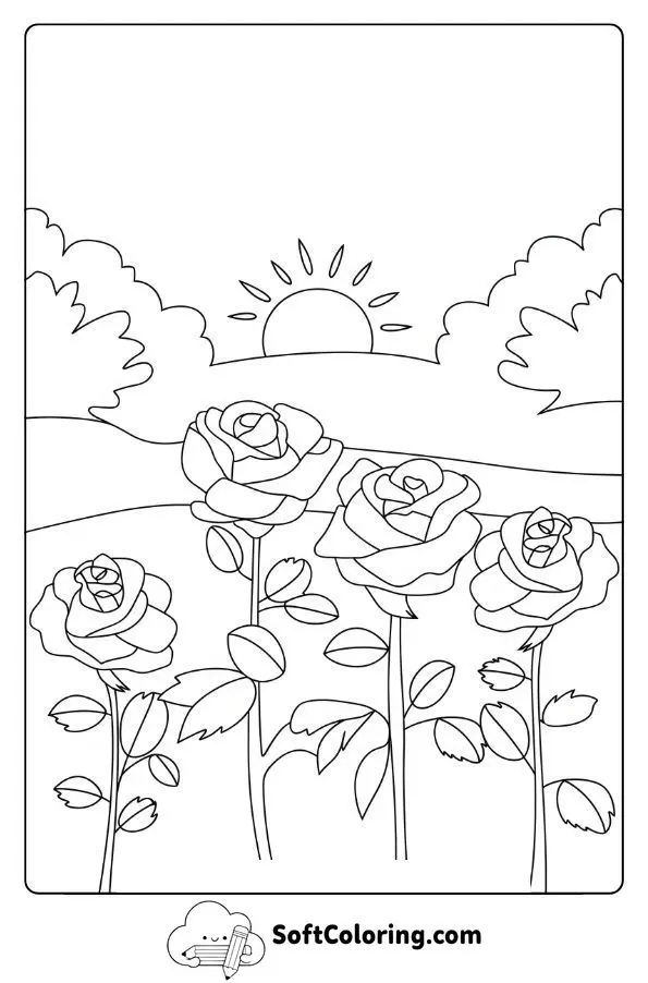 Blooming Roses In A Park At Sunrise