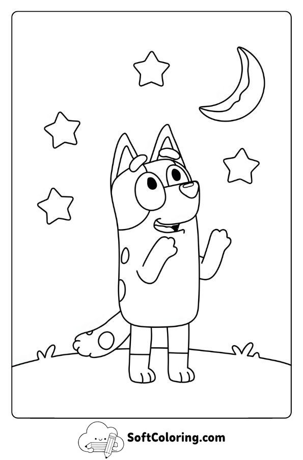 Bluey Under the Stars