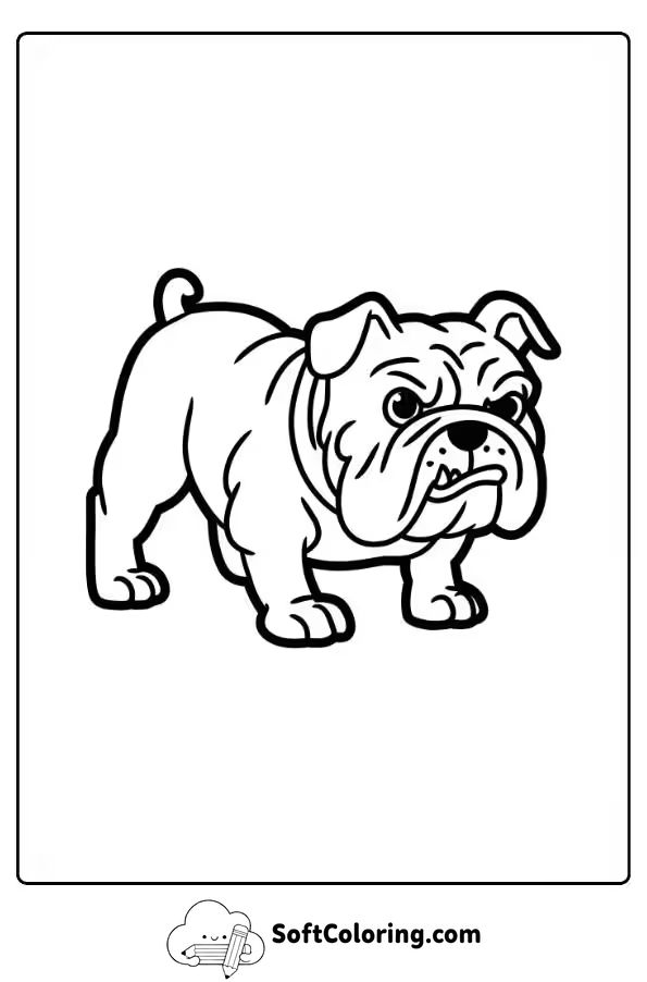 Bulldog in Play Bow Pose