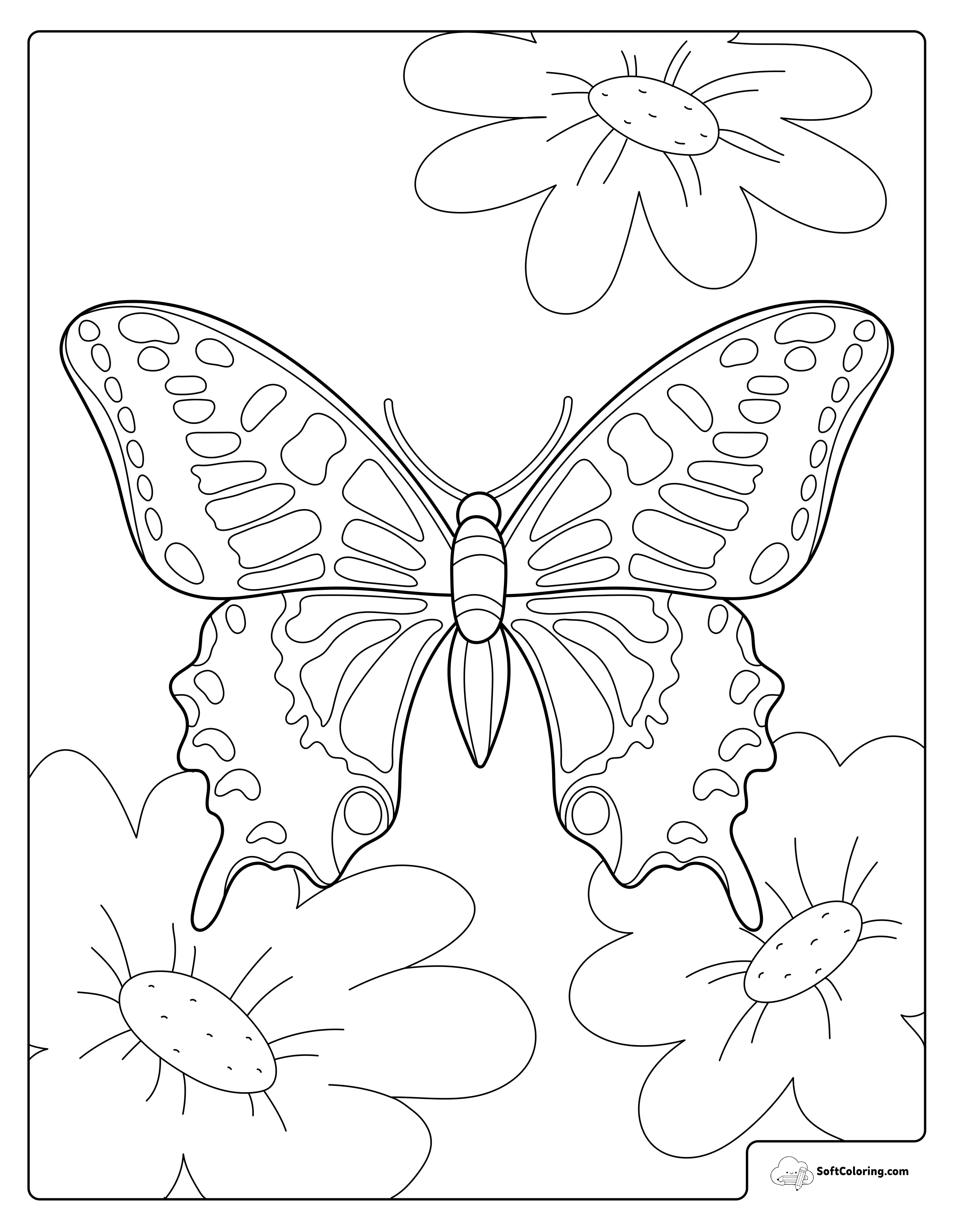 Butterfly And Flowers Coloring Page