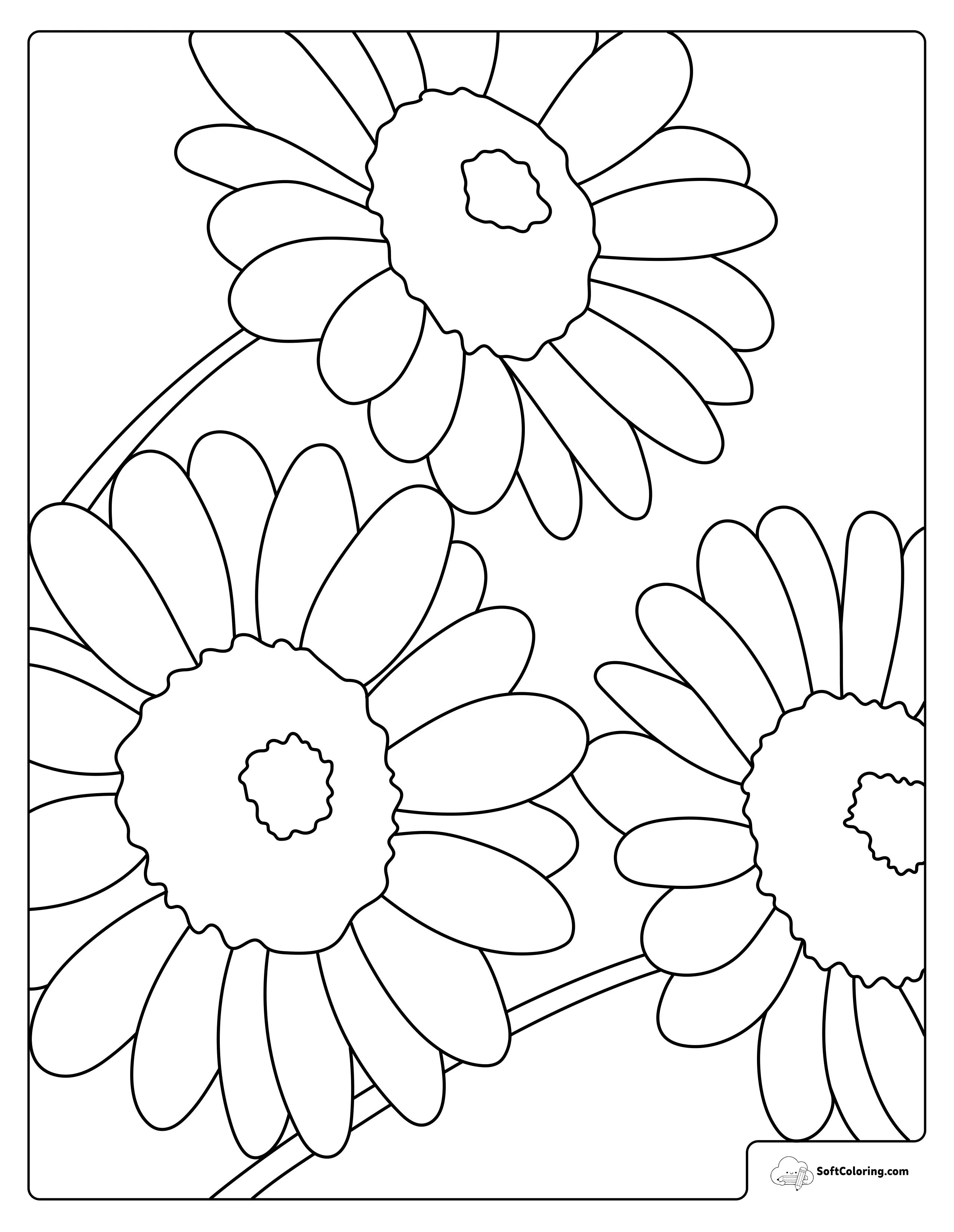 Daisy Coloring Pages