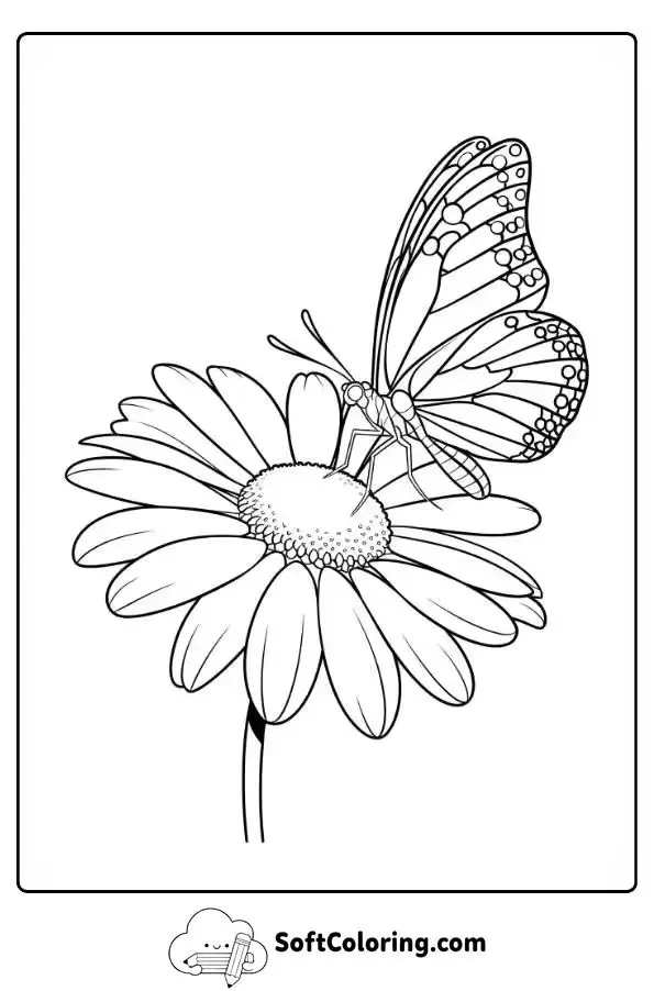 Daisy With A Butterfly Landing Coloring Page