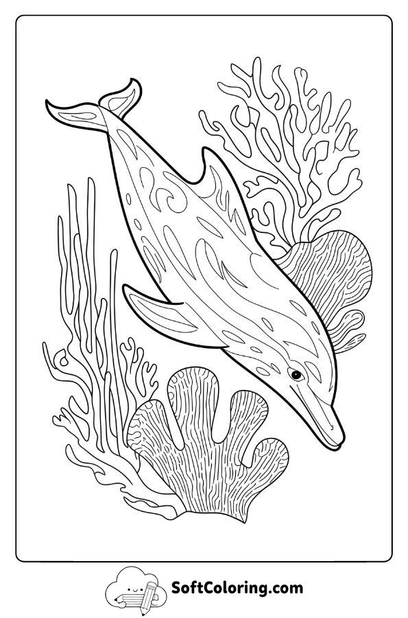 Detailed Dolphin Surrounded by Intricate Coral
