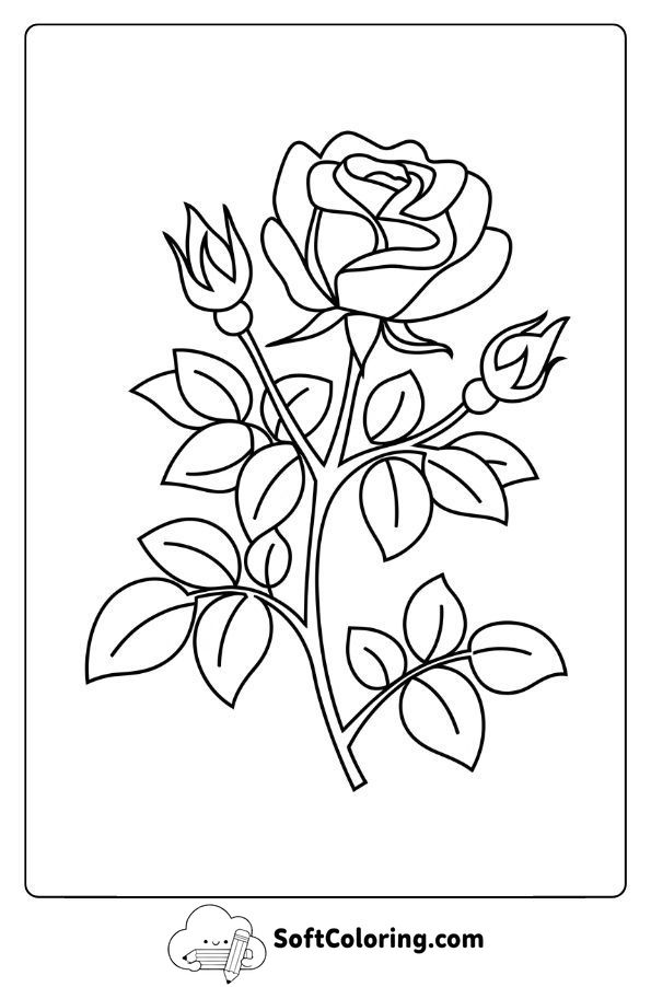 First Spring Bloom in a Rose Garden