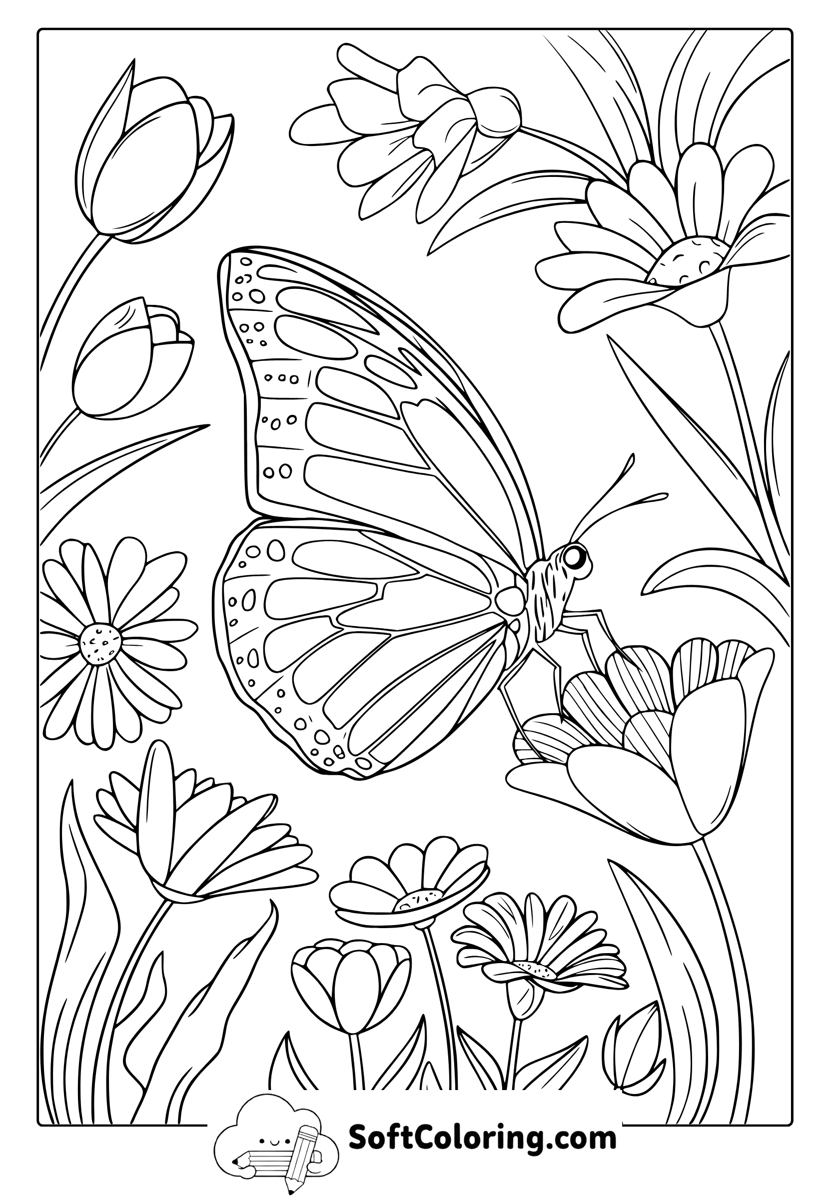 Fluttering Wings of Spring