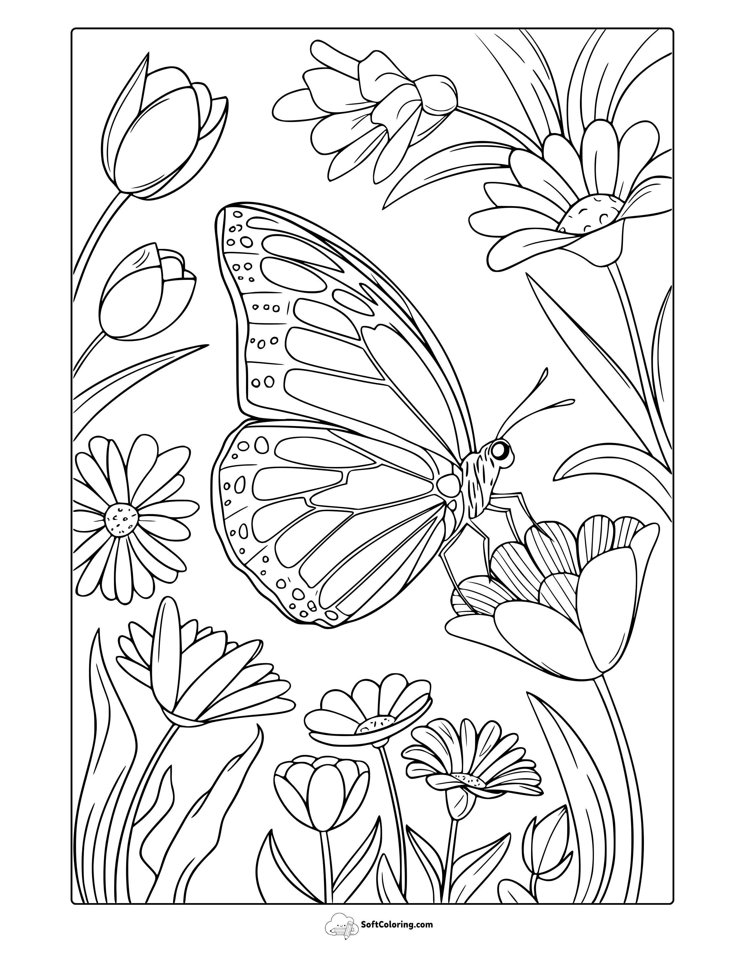 Fluttering Wings Of Spring