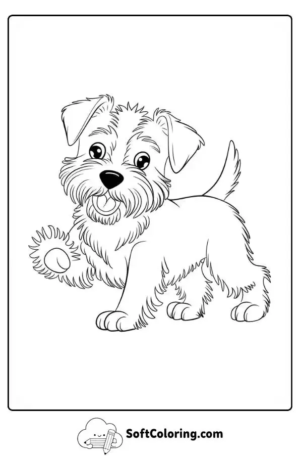 Furry Jack Russell Terrier