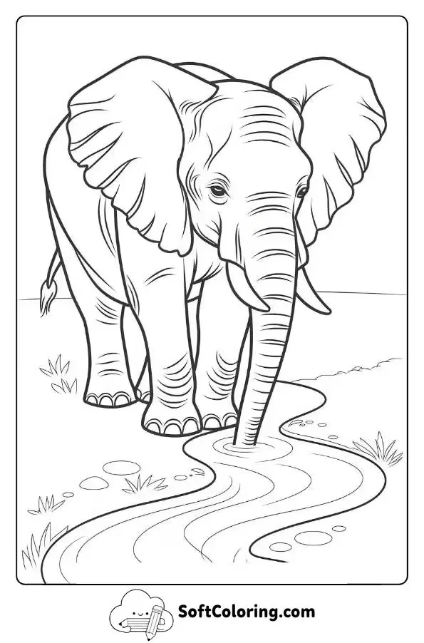 Gentle Elephant Drinking From A Stream