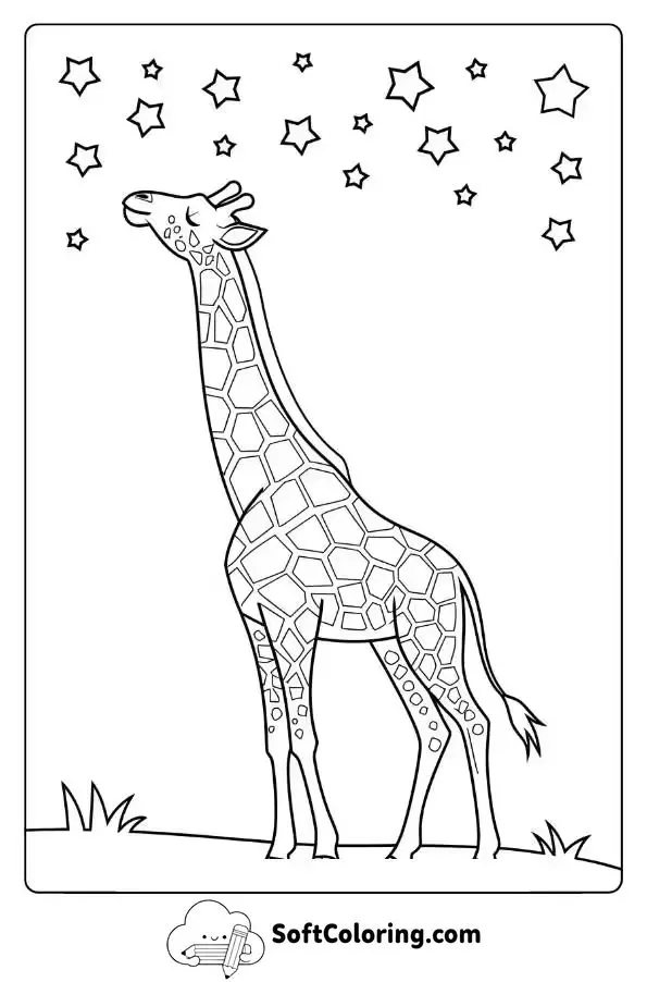 Giraffe Looking Up At The Stars