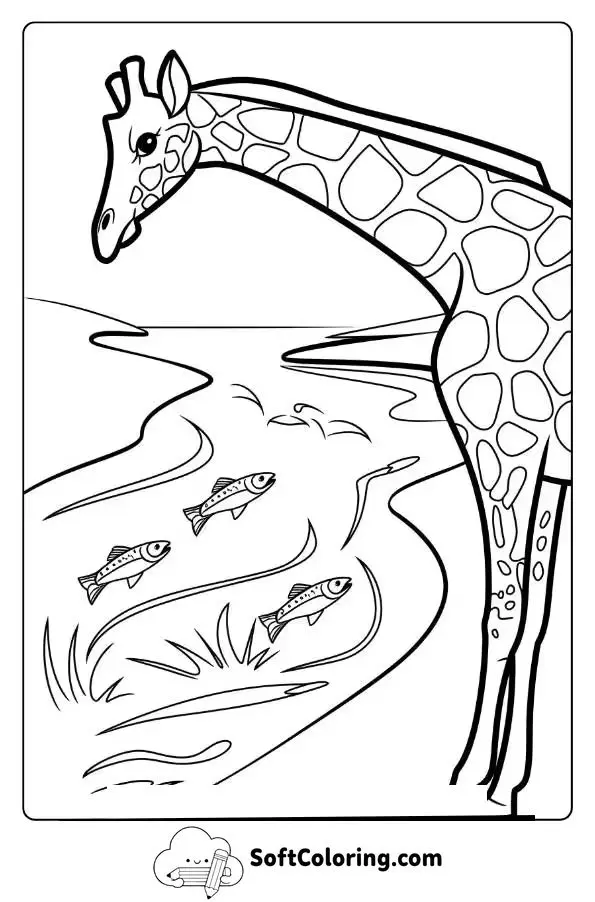 Giraffe Next To A River With Fish Jumping