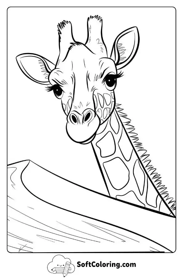 Giraffe Peeking Over A Sand Dune