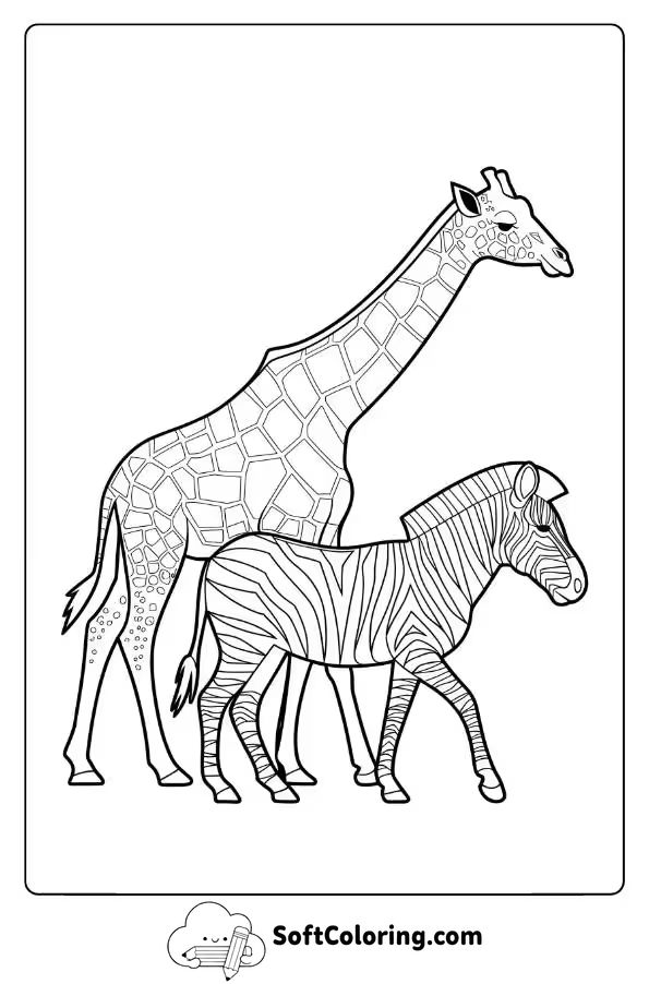 Giraffe Walking Alongside Zebra