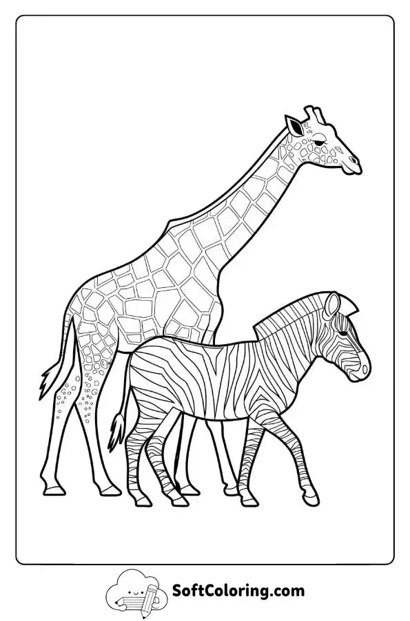 Giraffe Walking Alongside Zebra