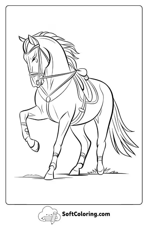 Graceful Dressage Horse In Action