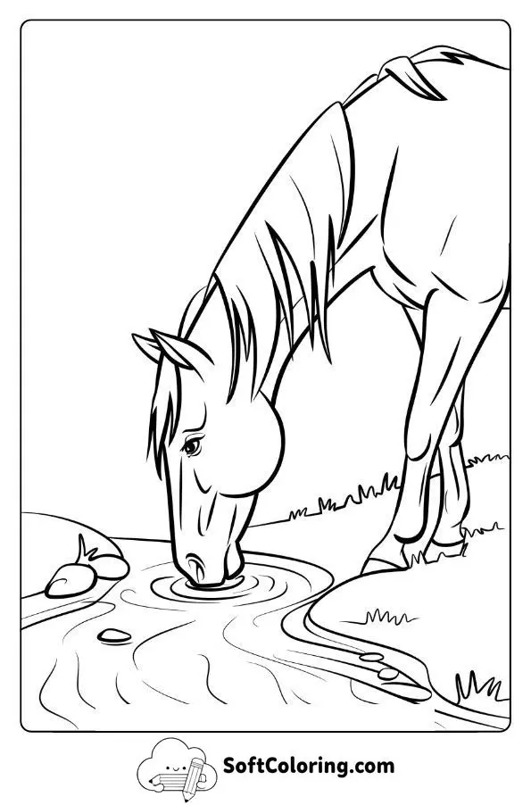 Horse Drinking Water From A Stream
