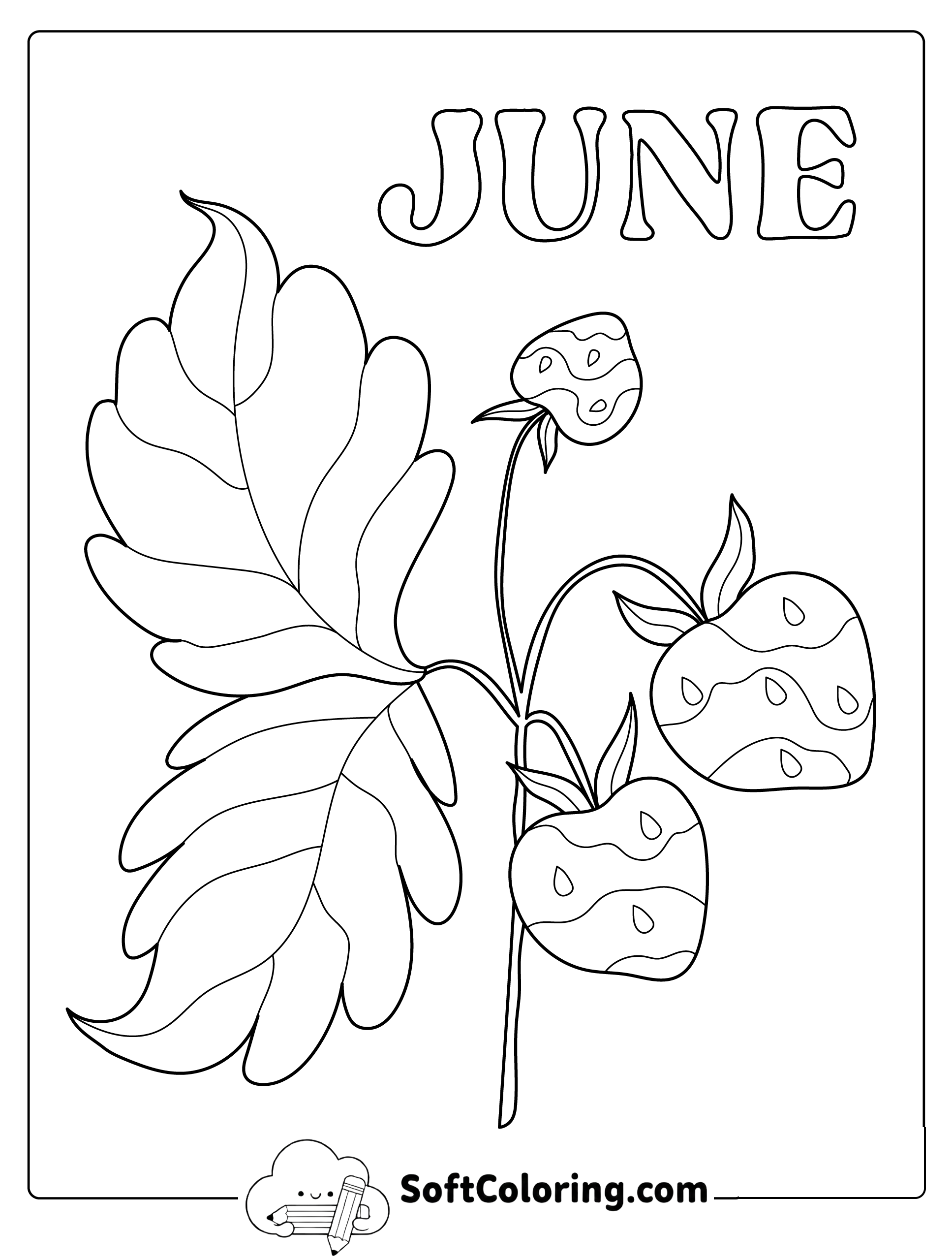 June Strawberry Branch Coloring Page