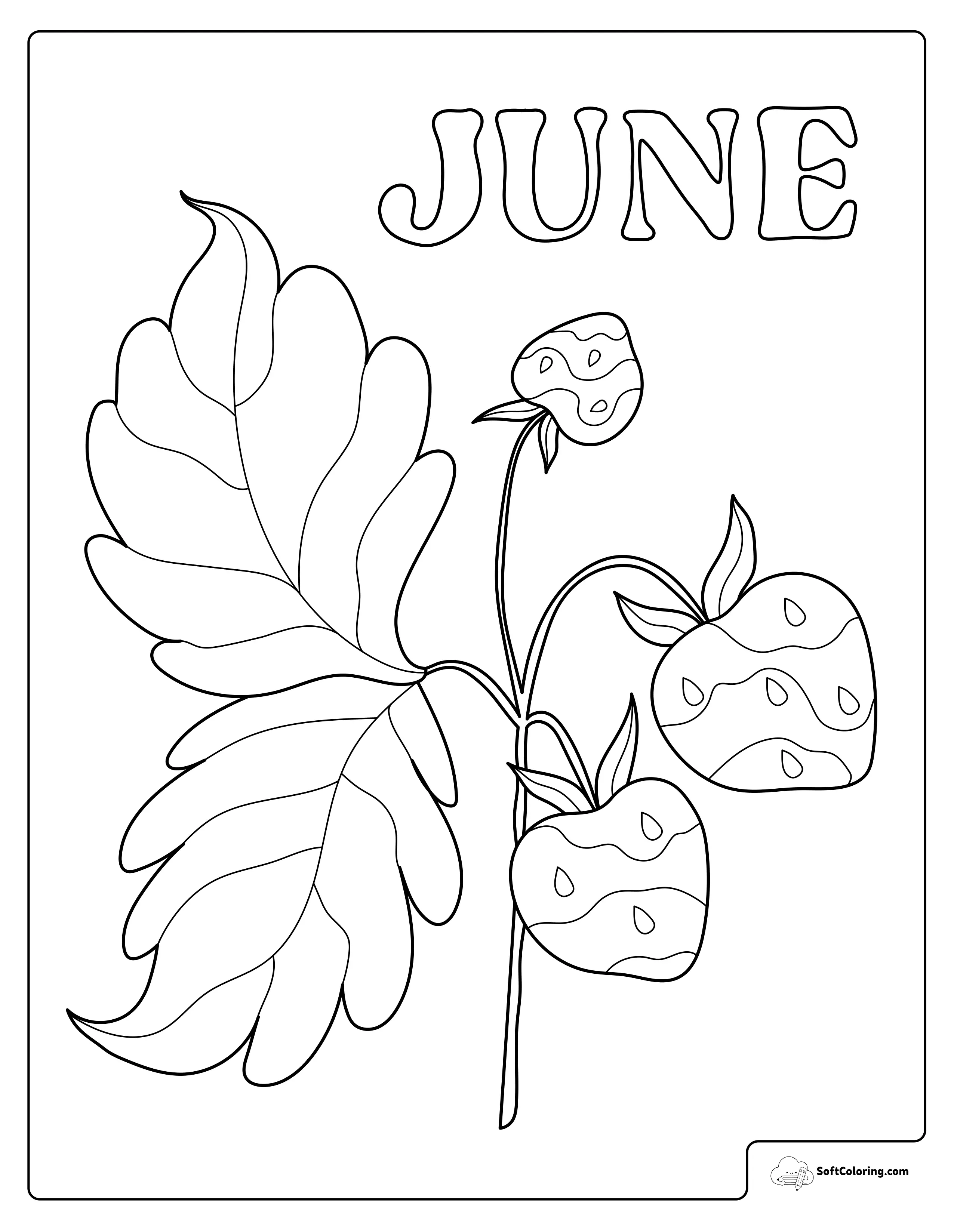 June Strawberry Branch Coloring Page