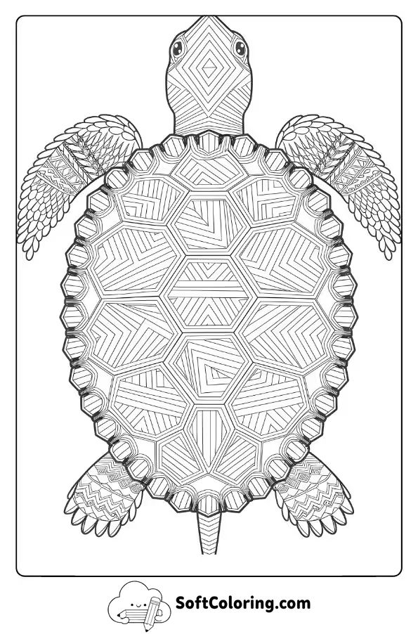 Mandala Turtle with Geometric Designs