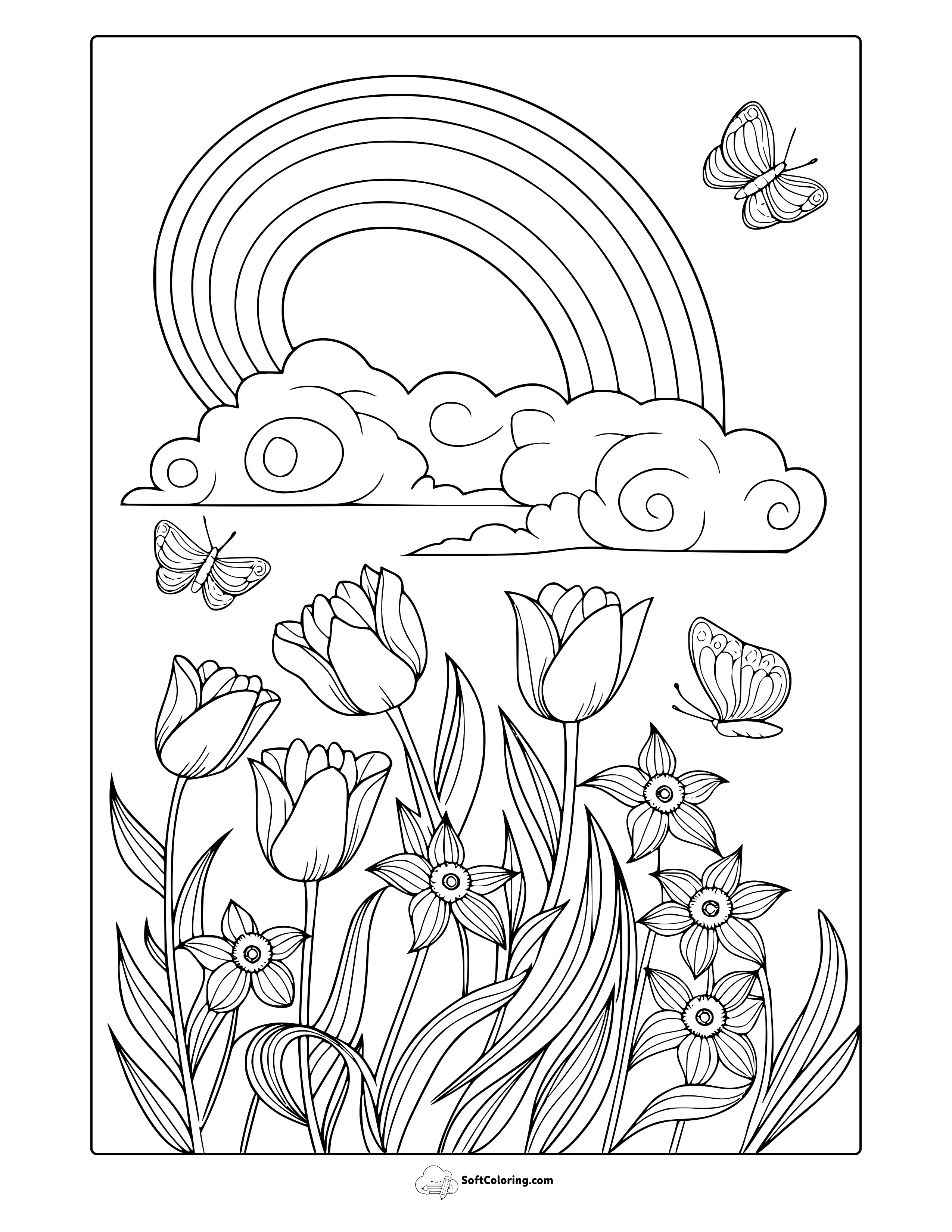 March Rainbow Wonders