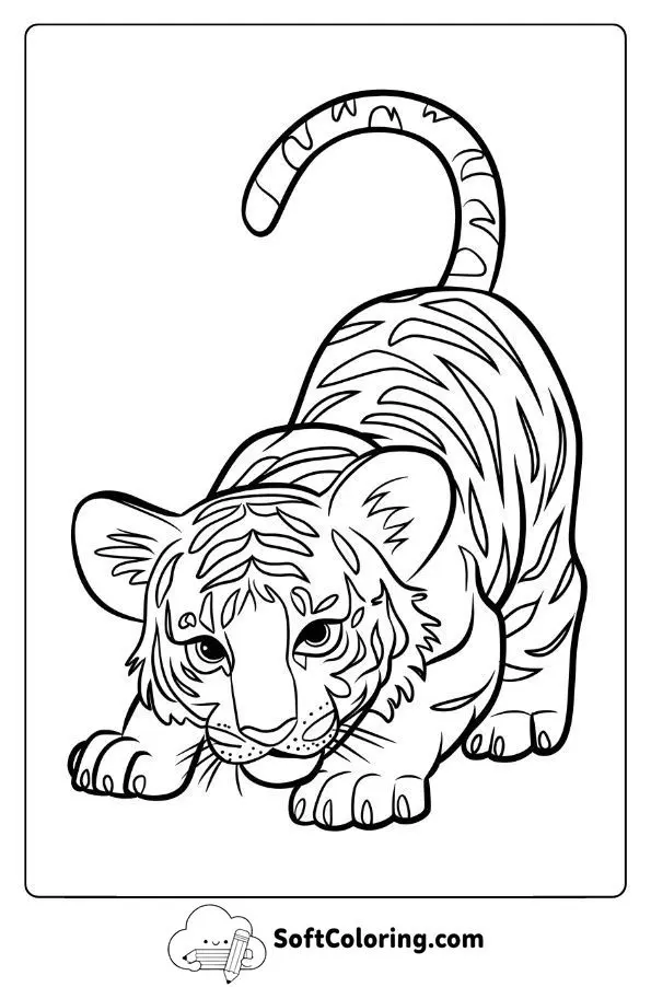 Mischievous Tiger Cub