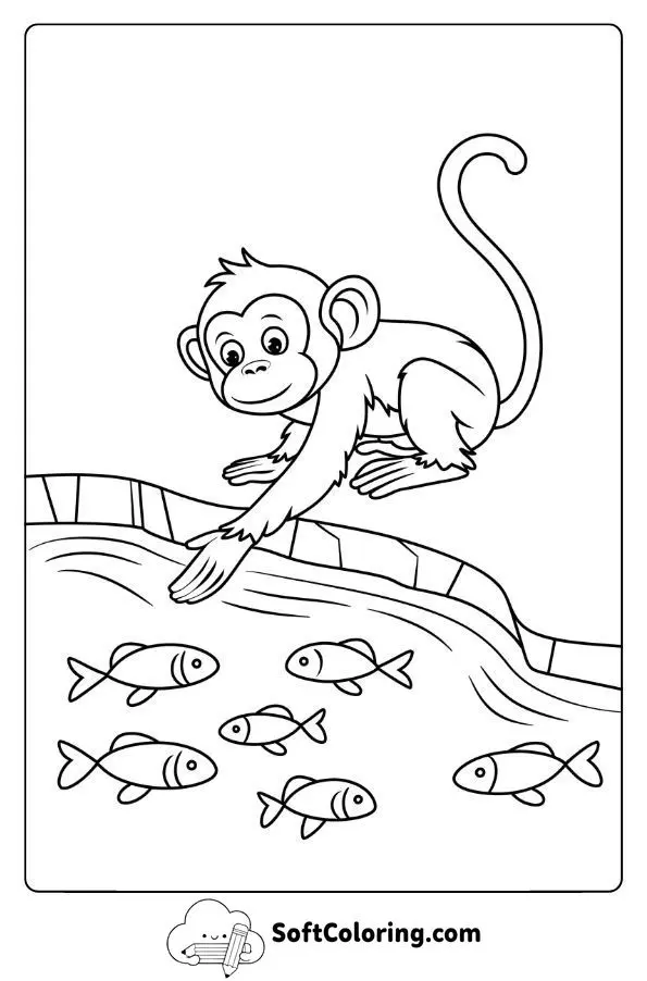 Monkey Watching Fish In A Clear Stream