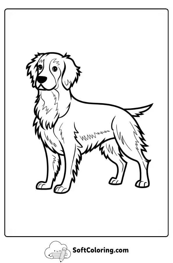 Nova Scotia Duck Tolling Retriever Outline