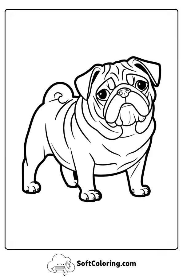 Pug with Tilted Head