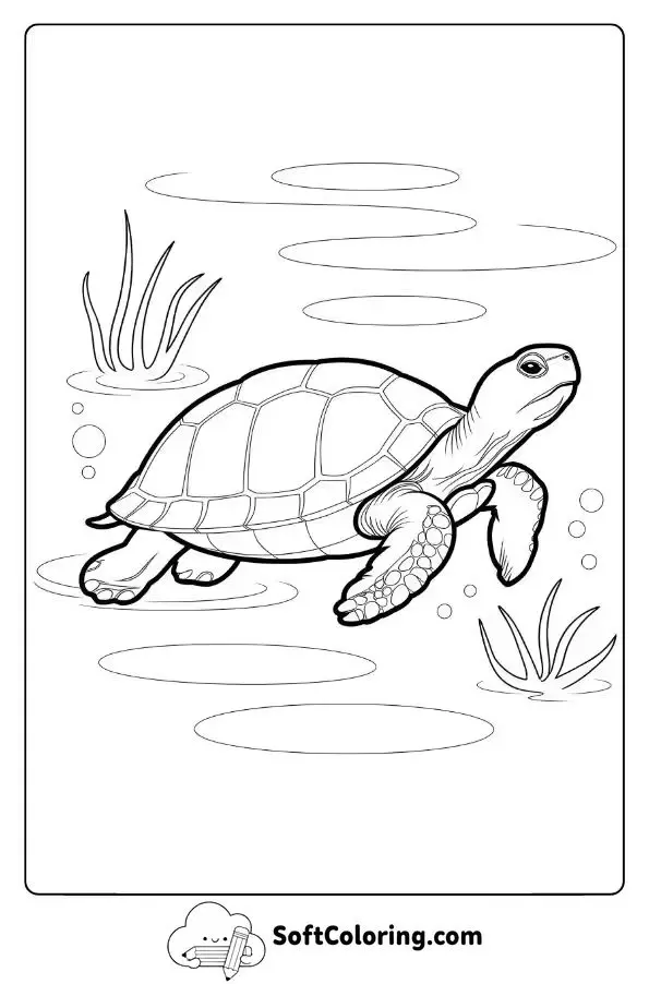 Realistic Turtle Gliding Through Water