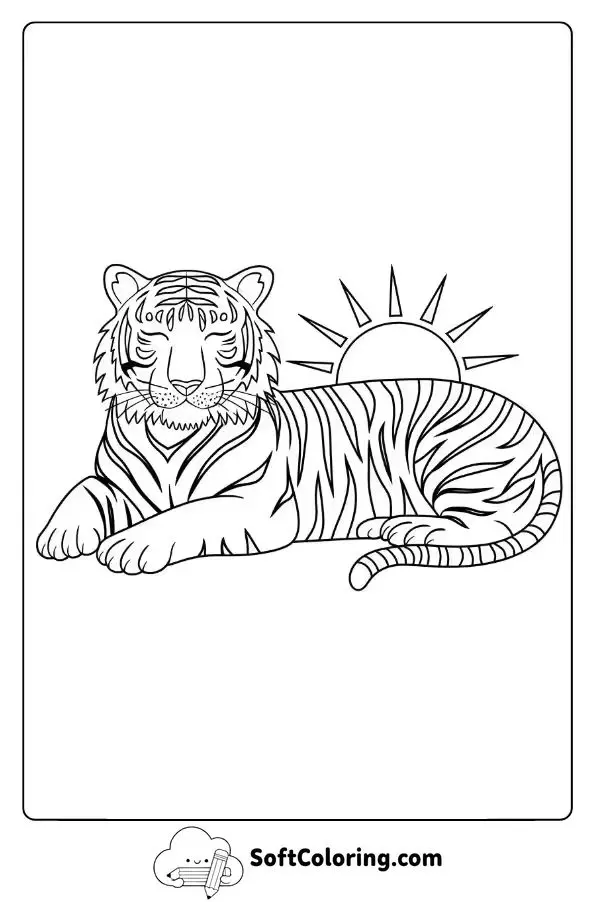 Relaxing Tiger At Sunset