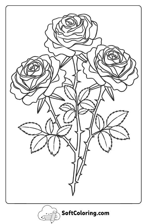 Roses and Thorns A Realistic View