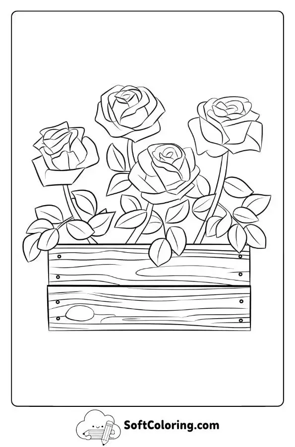 Roses In A Wooden Flower Box