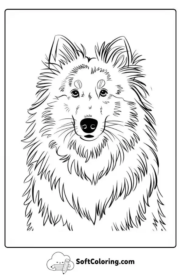 Sheltie Dog Simple Outline