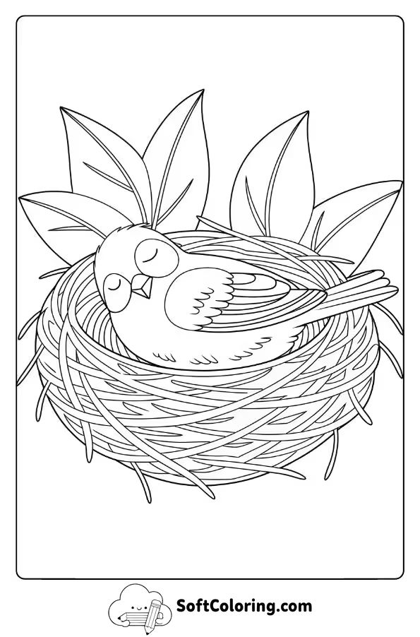 Small Bird Resting in a Nest