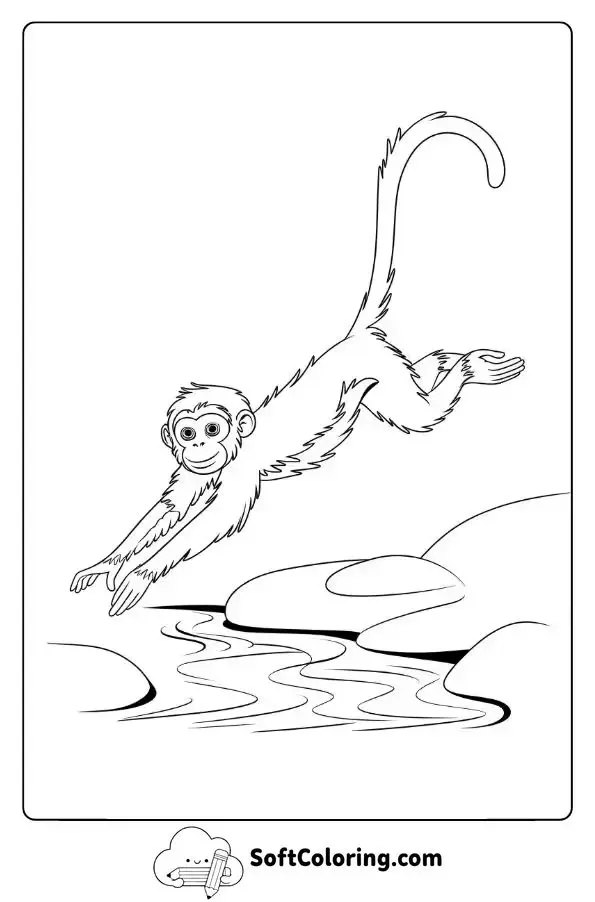 Spider Monkey Jumping Over A Stream