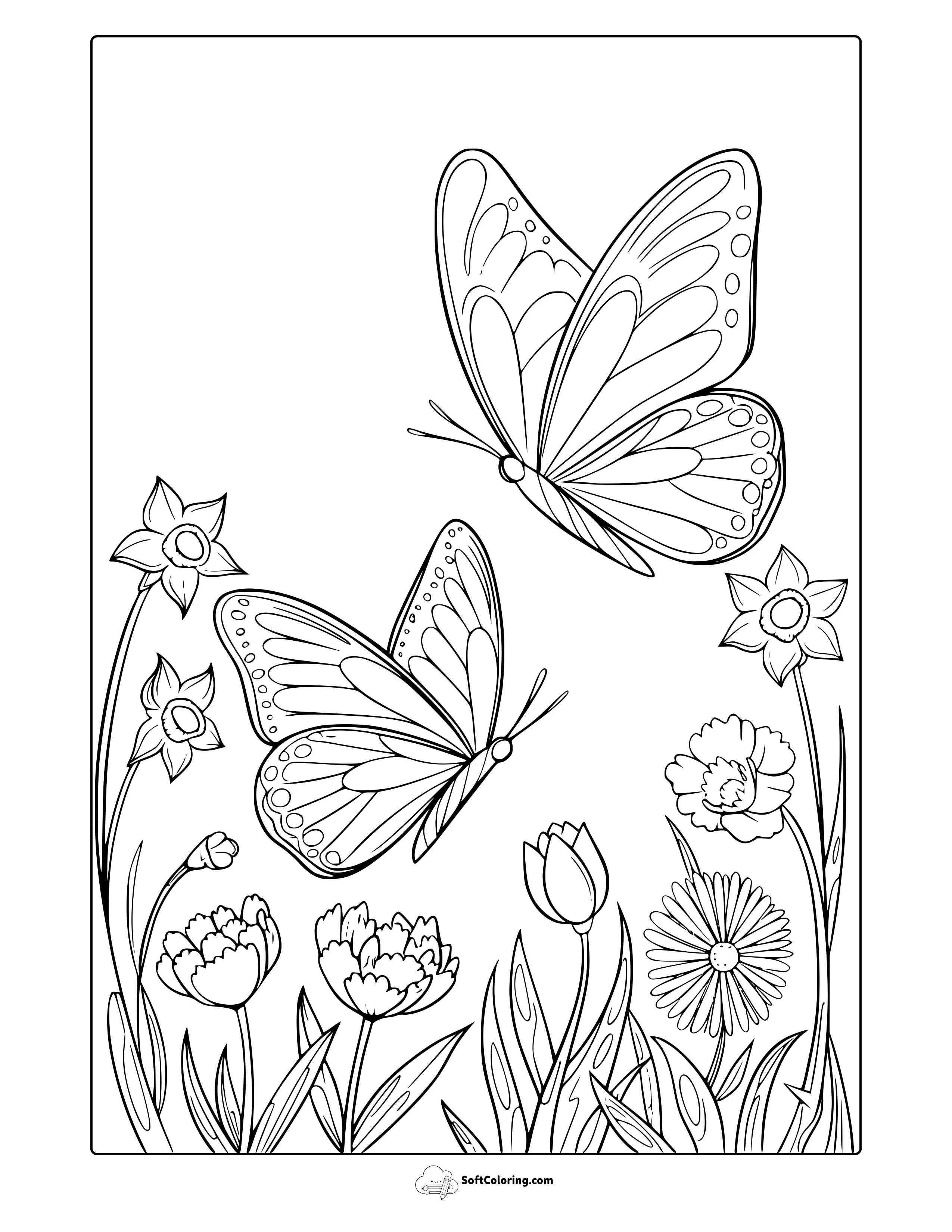 Springtime Butterflies