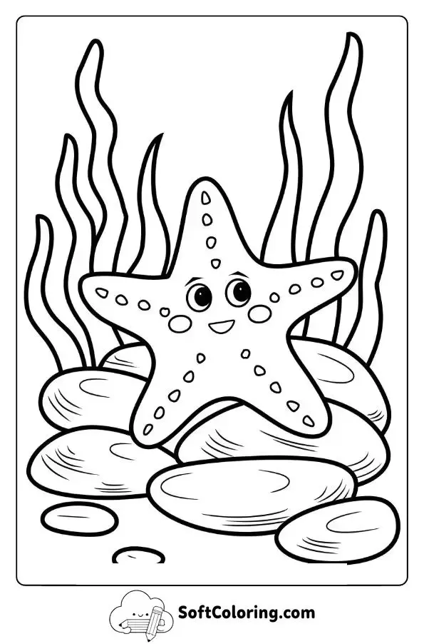 Starfish Resting On Ocean Rocks