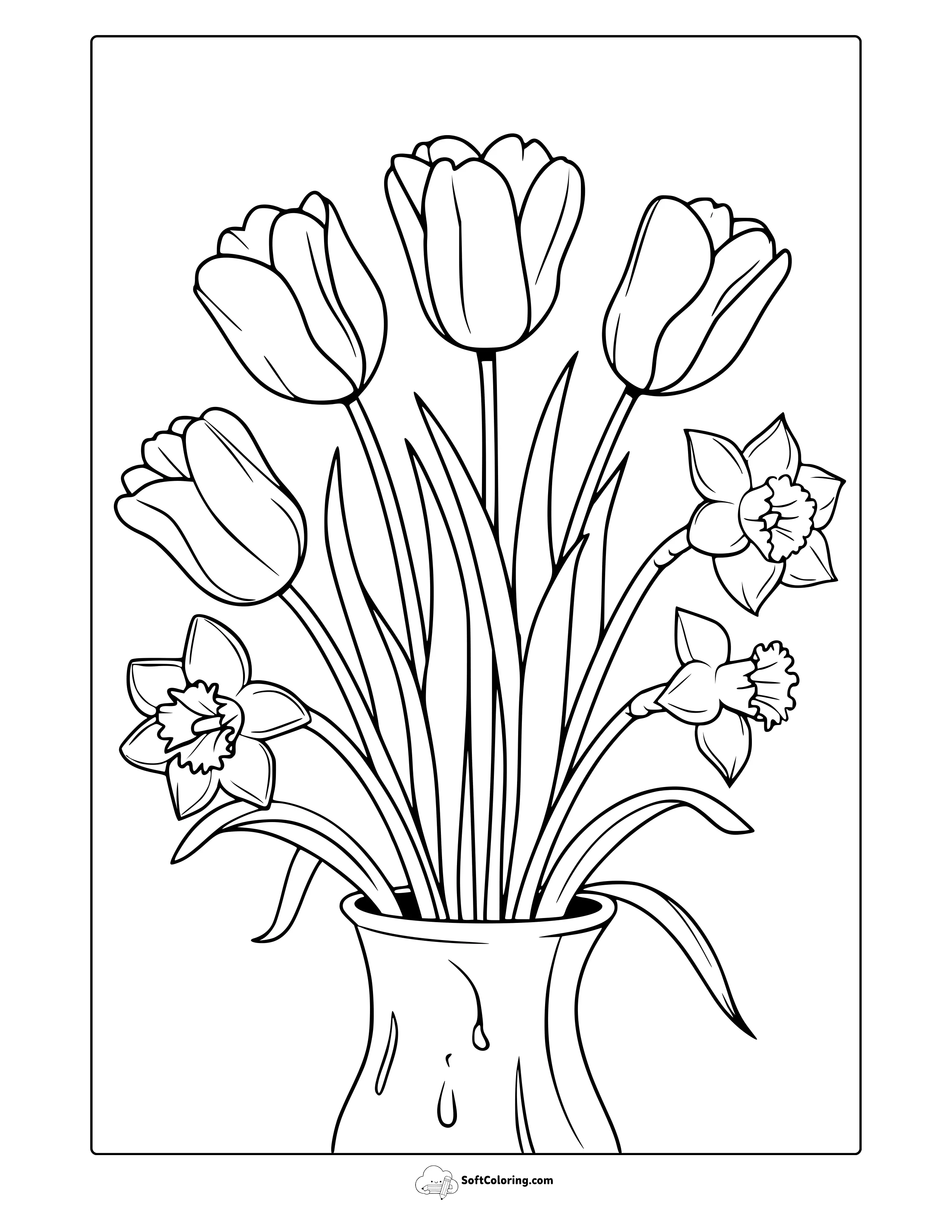 Tulips And Daffodils