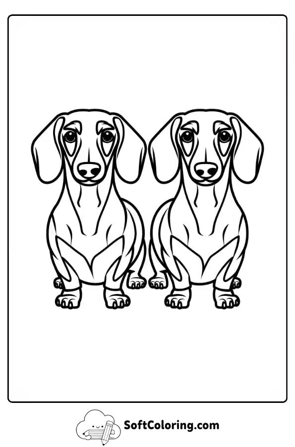 Two Dachshunds Posing Together