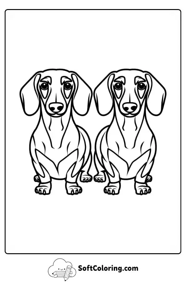 Two Dachshunds Posing Together