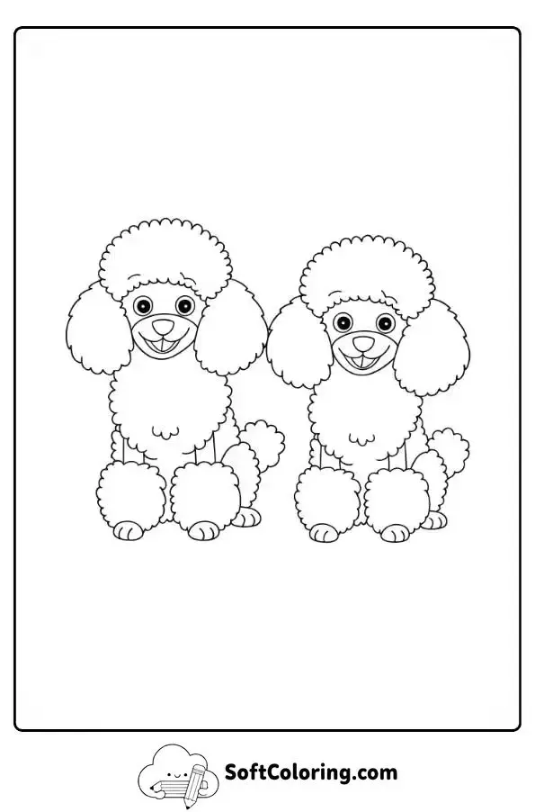 Two Smiling Miniature Poodles
