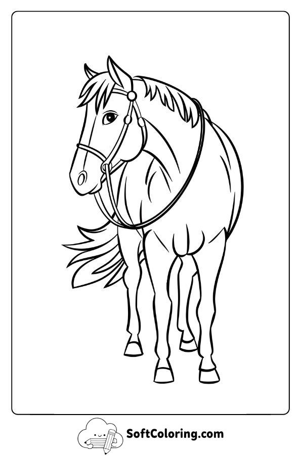 Western Horse with a Leather Bridle